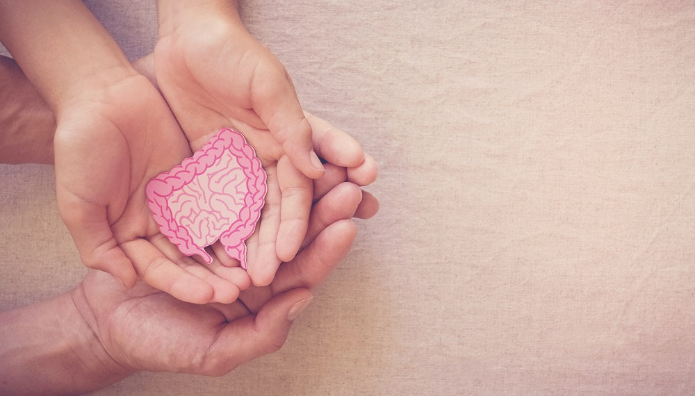 2 hands stacked on 2 other hands holding a small animated picture of small and large intestines.